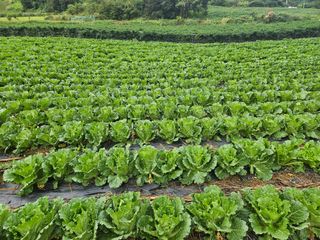 송경희님의 작성글 사진