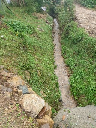 임훈택 님의 양배추 · 영농일지 작성글 사진