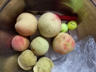 땅땅님의 복숭아 · 자유게시판 작성글 사진