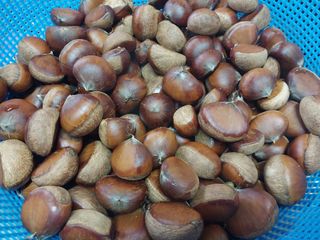 금동이네님의 자유주제 · 자유게시판 작성글 사진