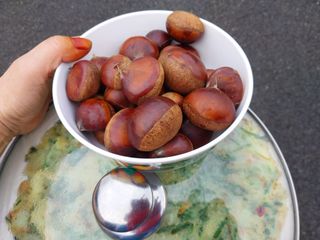 금동이네님의 자유주제 · 자유게시판 작성글 사진