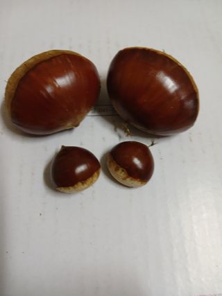 김용만 님의 기타작물 · 자유게시판 작성글 사진