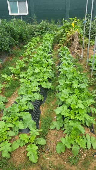 이종선님의 기타작물 · 자유게시판 작성글 사진