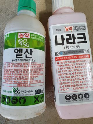 한재승님의 콩 · 영농일지 작성글 사진