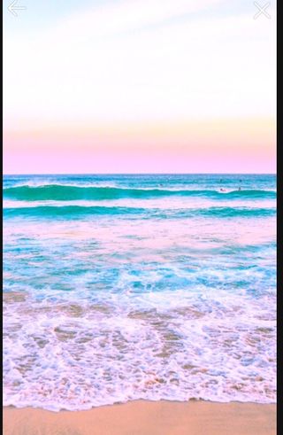 귀농은어렵다.님의 ↑ 윷놀이 하고 추석덕담 하기 · 참여글 작성글 사진