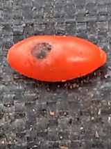 팜모닝 기타작물·병해충상담 게시글 이미지