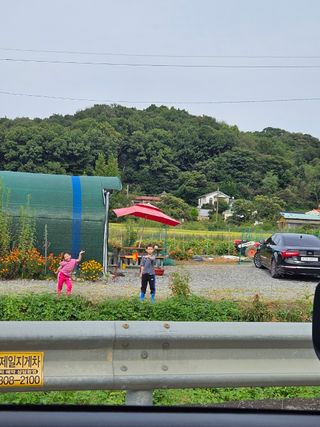 류승원님의 고구마 · 영농일지 작성글 사진