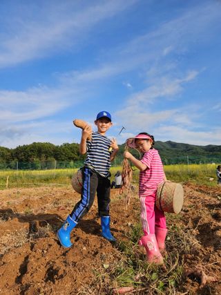 류승원님의 고구마 · 영농일지 작성글 사진