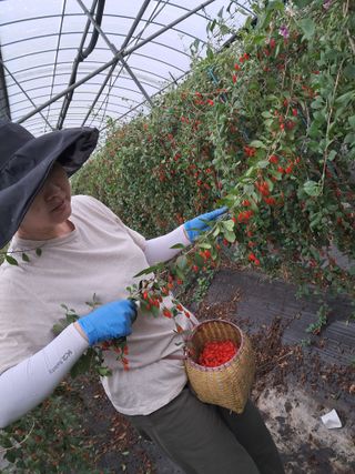 이천순님의 기타작물 · 자유게시판 작성글 사진