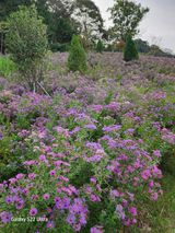 팜모닝 자유주제·자유게시판 게시글 이미지