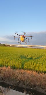 팜모닝 ↑ 윷놀이 하고 추석덕담 하기·참여글 게시글 이미지