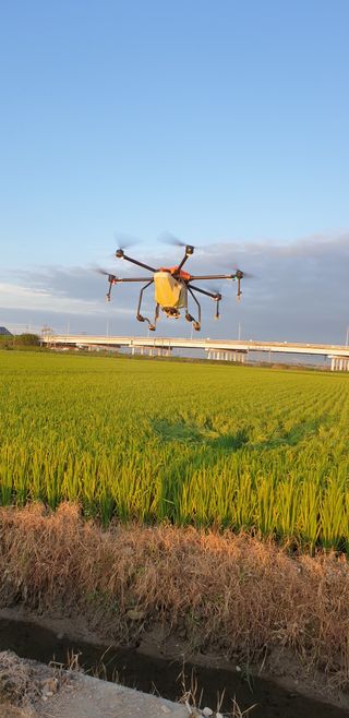 Kswlee2958님의 ↑ 윷놀이 하고 추석덕담 하기 · 참여글 작성글 사진