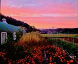 팜모닝 자유주제·사진전 게시글 이미지