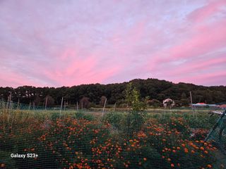 류승원님의 자유주제 · 사진전 작성글 사진
