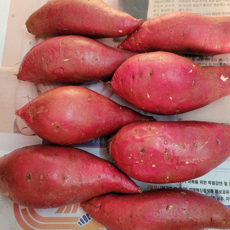 장터 상품 [여주 꿀고구마 5키로 중] 썸네일