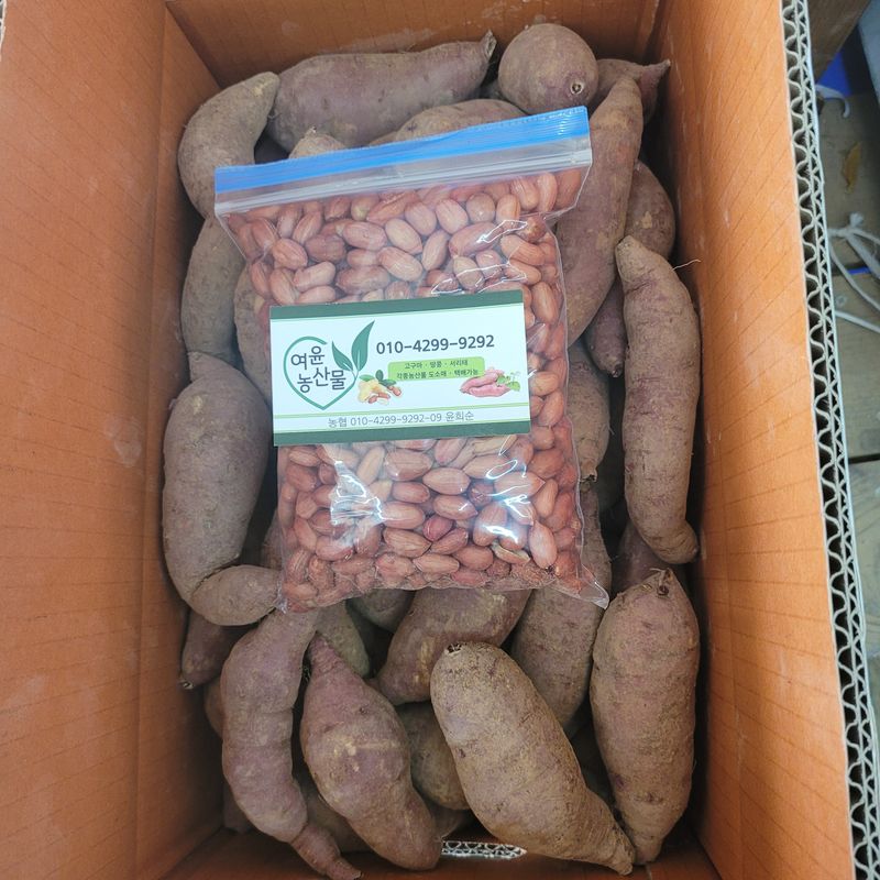 윤희순님의 장터 판매 상품 [여주 꿀고구마 5키로 중] 첨부 사진