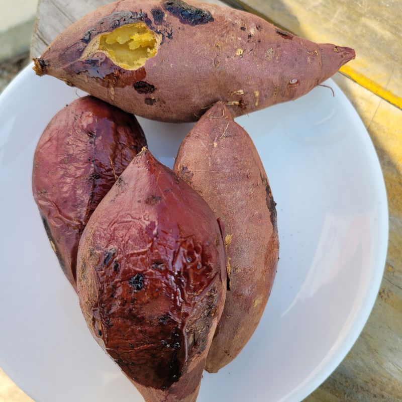 윤희순님의 장터 판매 상품 [여주 꿀고구마 5키로 중] 첨부 사진