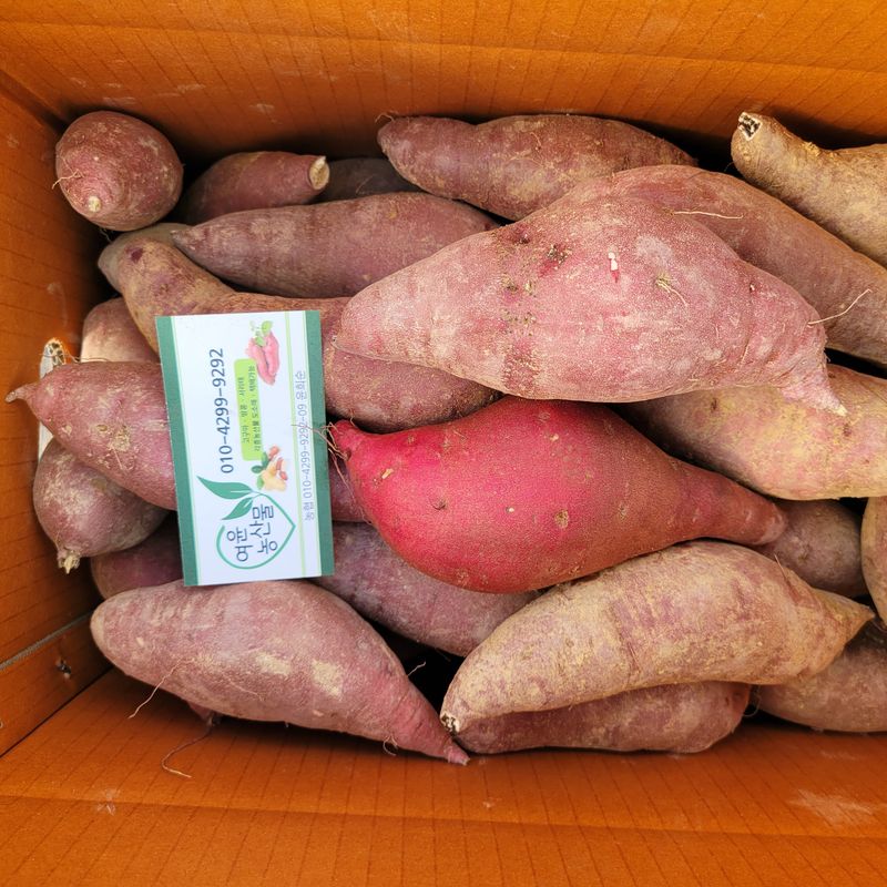 윤희순님의 장터 판매 상품 [여주 꿀고구마 5키로 중] 첨부 사진