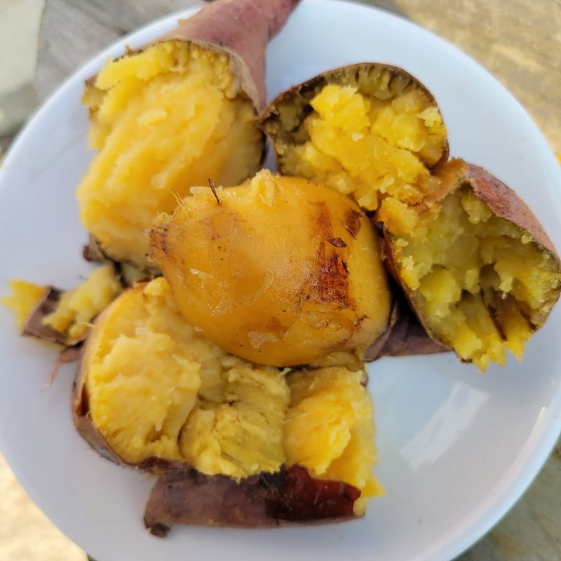 윤희순님의 장터 판매 상품 [여주 꿀고구마 5키로 중] 첨부 사진