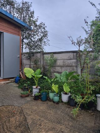 이규현님의 ↑ 윷놀이 하고 추석덕담 하기 · 참여글 작성글 사진