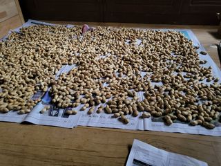 최승균님의 기타작물 · 자유게시판 작성글 사진