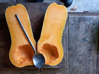 권오성님의 감자 · 자유게시판 작성글 사진