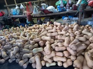 권오성님의 감자 · 자유게시판 작성글 사진