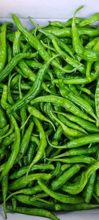 최영호님의 자유주제 · 자유게시판 작성글 사진