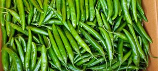 최영호님의 자유주제 · 자유게시판 작성글 사진