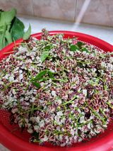 팜모닝 ↑ 윷놀이 하고 추석덕담 하기·참여글 게시글 이미지