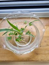 팜모닝 자유주제·자유게시판 게시글 이미지