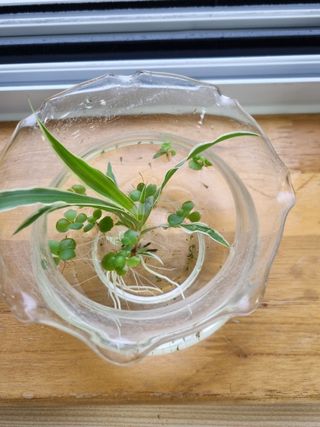 그린1505님의 자유주제 · 자유게시판 작성글 사진