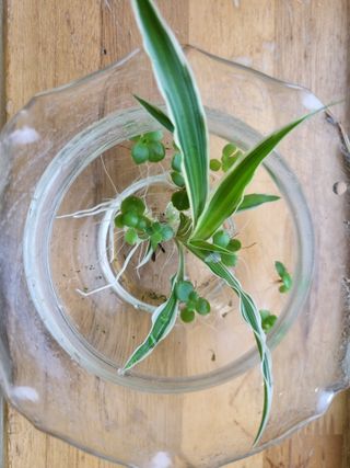 그린1505님의 자유주제 · 자유게시판 작성글 사진