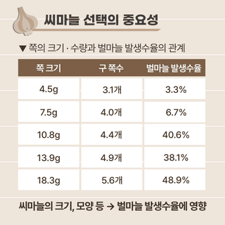 팜모닝님의 마늘 · 파종작업 작성글 사진