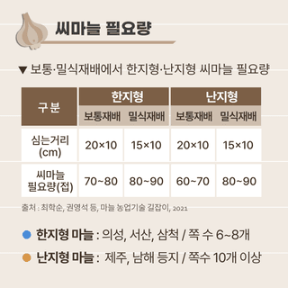 팜모닝님의 마늘 · 파종작업 작성글 사진