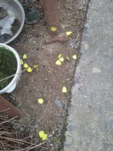 팜모닝 자유주제·자유게시판 게시글 이미지