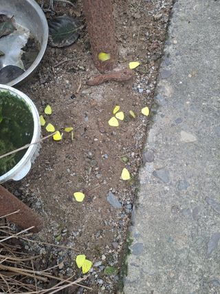 농촌사랑님의 자유주제 · 자유게시판 작성글 사진