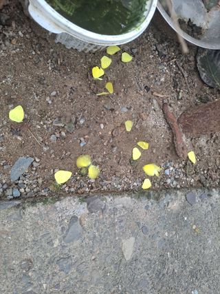 농촌사랑님의 자유주제 · 자유게시판 작성글 사진