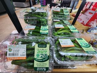 오마니농장님의 고추 · 수확 작성글 사진