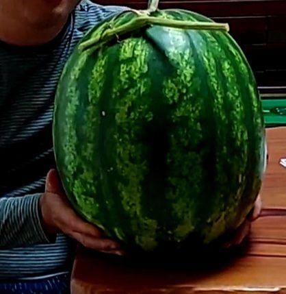 장터 상품 [당첨되믄 좋겠네요] 썸네일