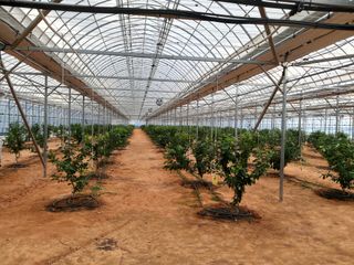 ㅈㅅㄱ님의 ↑ 윷놀이 하고 추석덕담 하기 · 참여글 작성글 사진