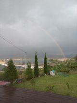 팜모닝 ↑ 윷놀이 하고 추석덕담 하기·참여글 게시글 이미지