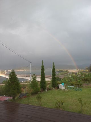 송심난성님의 ↑ 윷놀이 하고 추석덕담 하기 · 참여글 작성글 사진