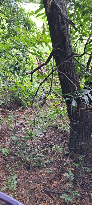 나는농사짓는영미다님의 자유주제 · 자유게시판 작성글 사진