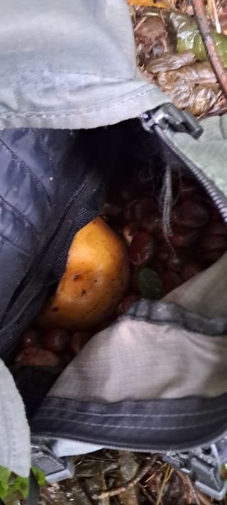 나는농사짓는영미다님의 자유주제 · 자유게시판 작성글 사진