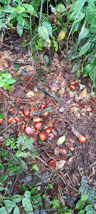 나는농사짓는영미다님의 자유주제 · 자유게시판 작성글 사진