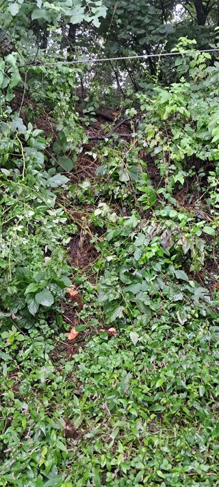 나는농사짓는영미다님의 자유주제 · 자유게시판 작성글 사진