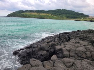 전홍열님의 ↑ 윷놀이 하고 추석덕담 하기 · 참여글 작성글 사진