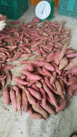 오늘 이순간님의 작성글 사진