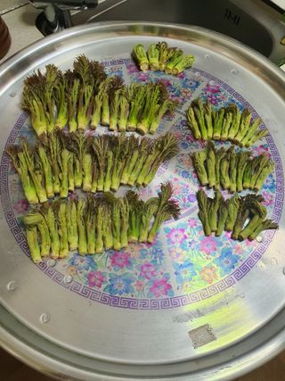 매실15054님의 ↑ 윷놀이 하고 추석덕담 하기 · 참여글 작성글 사진